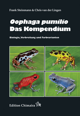 Oophaga pumulio – Das Kompendium