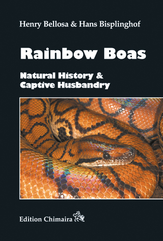 Rainbow Boas – Natural History & Captive Husbandry