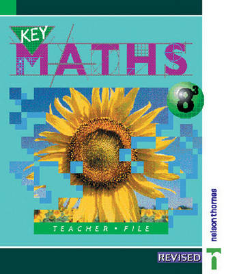 Key Maths - Paul Hogan, Irene Patricia Verity, David Baker, Barbara Job