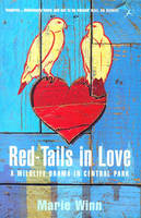 Red-tails in Love - Marie Winn