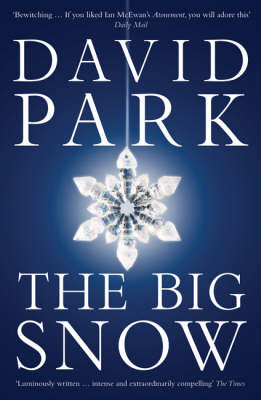 The Big Snow - David Park