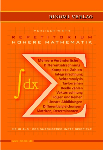 Repetitorium H&ouml;here Mathematik - Gerhard Merziger, Thomas Wirth