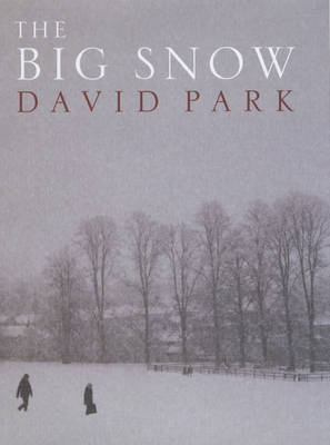The Big Snow - David Park