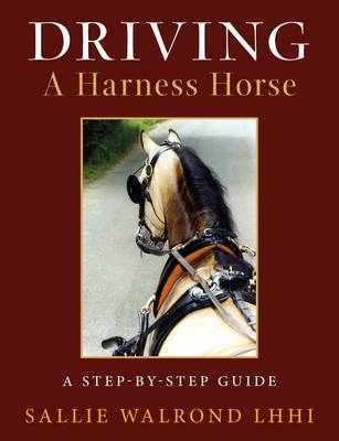 Driving a Harness Horse