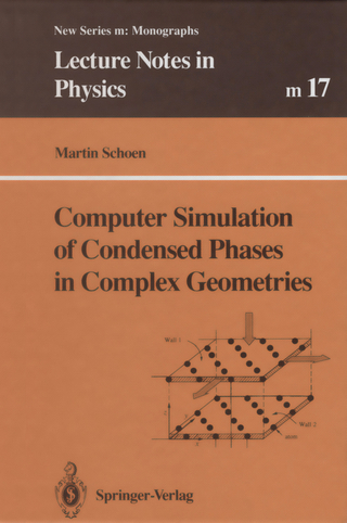 Computer Simulation of Condensed Phases in Complex Geometries