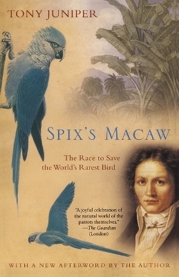 Spix's Macaw - Tony Juniper