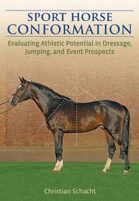 Sport Horse Conformation