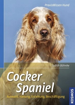 Cocker Spaniel - Judith B&ouml;hnke