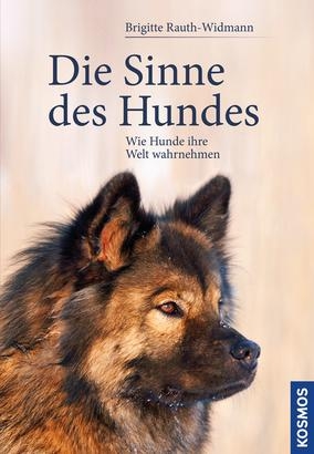 Die Sinne des Hundes