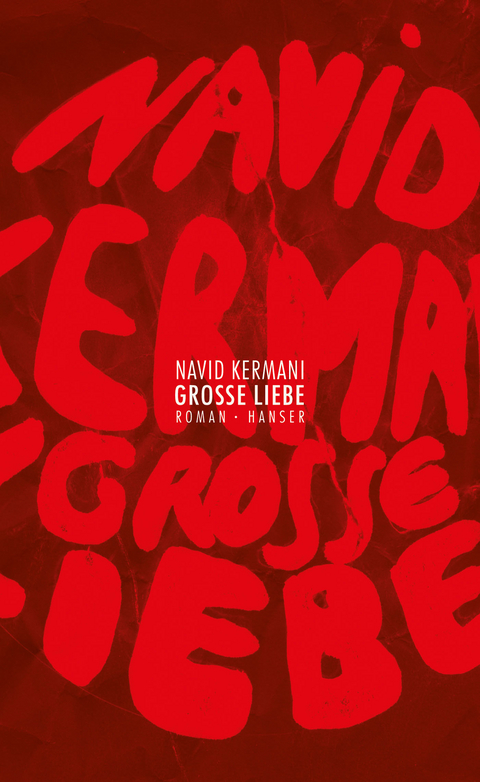 Gro&szlig;e Liebe - Navid Kermani
