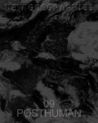 New Geographies 09 - 