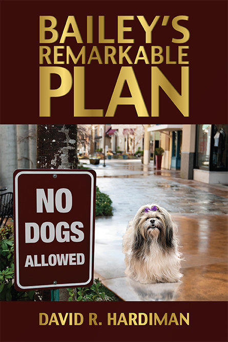 Bailey's Remarkable Plan -  David R. Hardiman