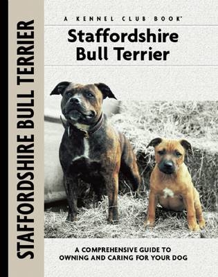 Staffordshire Bull Terrier - Jane Hogg Frome