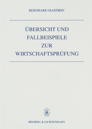 Übersicht und Fallbeispiele zur Wirtschaftsprüfung
