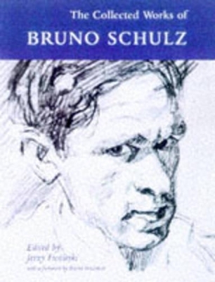 The Collected Works of Bruno Schulz - Bruno Schulz