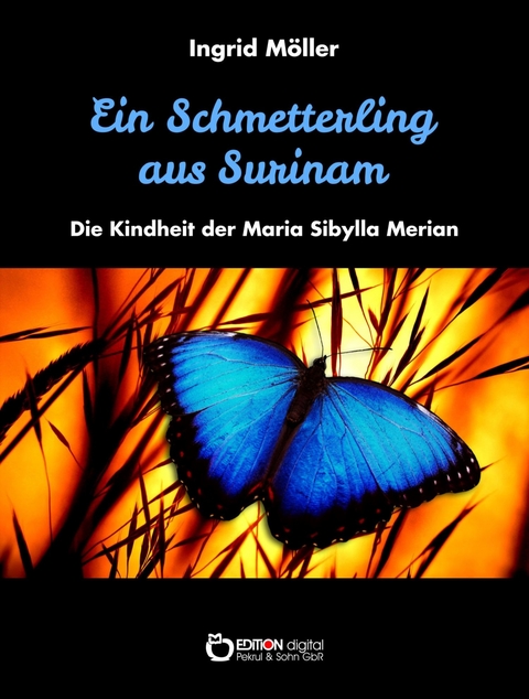 Ein Schmetterling aus Surinam - Ingrid M&ouml;ller