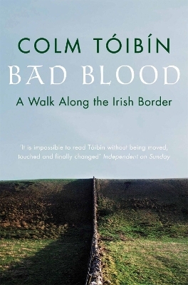 Bad Blood - Colm T&oacute;ib&iacute;n