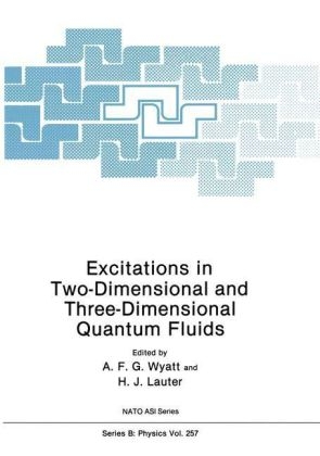 Excitations in Two-Dimensional and Three-Dimensional Quantum Fluids - 