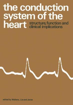 Conduction System of the Heart