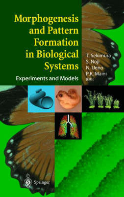 Morphogenesis and Pattern Formation in Biological Systems