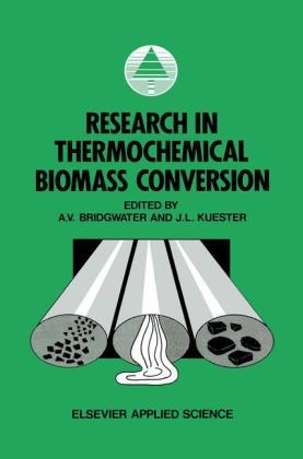 Research in Thermochemical Biomass Conversion - 