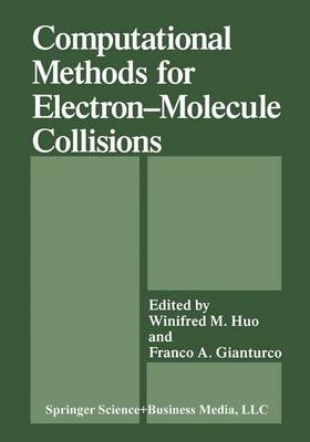 Computational Methods for Electron-Molecule Collisions - 