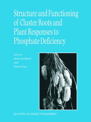 Information Dynamics in Cognitive, Psychological, Social, and Anomalous Phenomena -  Andrei Y. Khrennikov