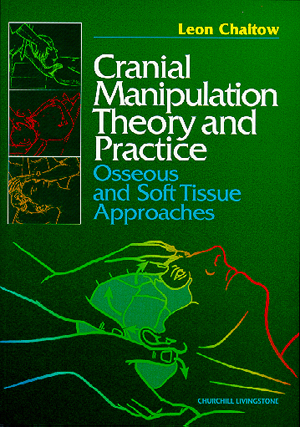 National Health Service Budget Simulator