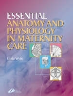 Essential Anatomy and Physiology in Maternity Care