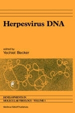 Herpesvirus DNA