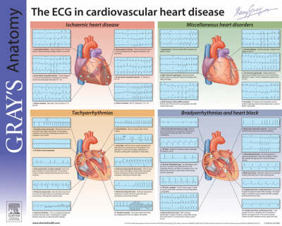 Understanding the ECG - Adam D. Timmis