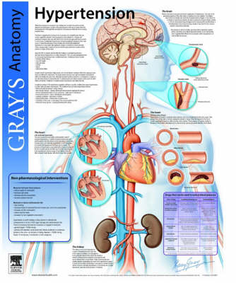Hypertension - Michael Schachter