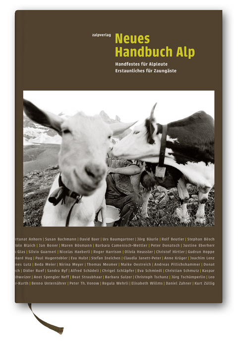 Neues Handbuch Alp - Giorgio H&ouml;sli, Kaspar Schuler, Martin Bienerth