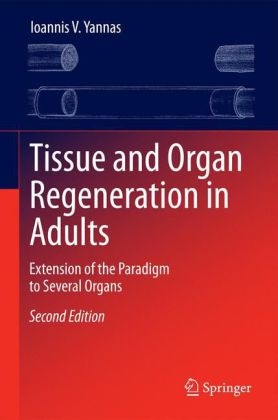Tissue and Organ Regeneration in Adults -  Ioannis V. Yannas