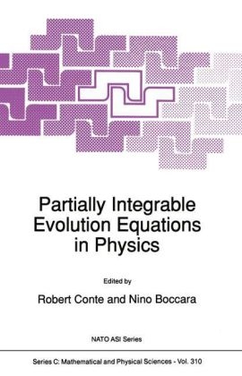Partially Integrable Evolution Equations in Physics - 