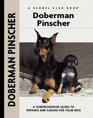 Doberman Pinscher - Lou-Ann Cloidt