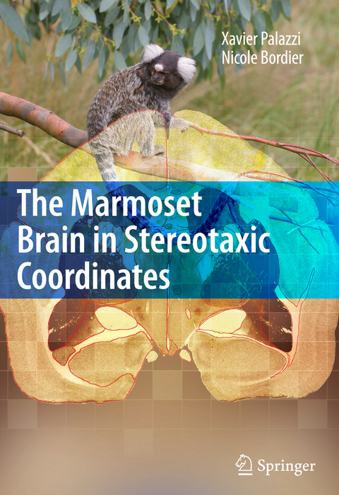 The Marmoset Brain in Stereotaxic Coordinates - Xavier Palazzi, Nicole Bordier