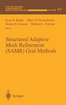 Structured Adaptive Mesh Refinement (SAMR) Grid Methods
