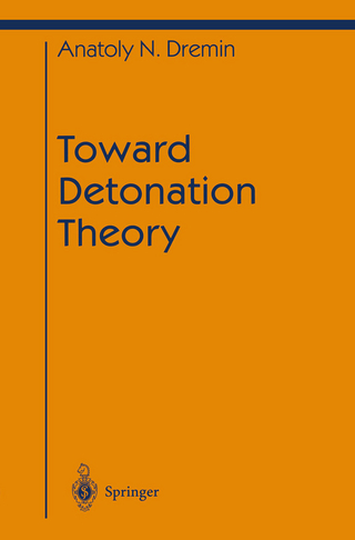 Toward Detonation Theory