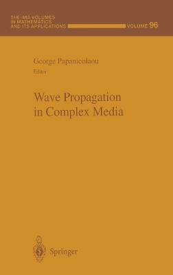 Wave Propagation in Complex Media - 