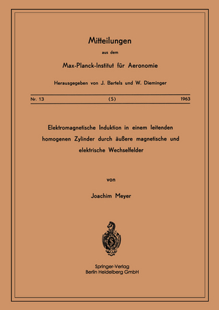 Elektromagnetische Induktion in einem Leitenden Homogenen Zylinder durch Äussere Magnetische und Elektrische Wechselfelder