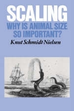 Scaling