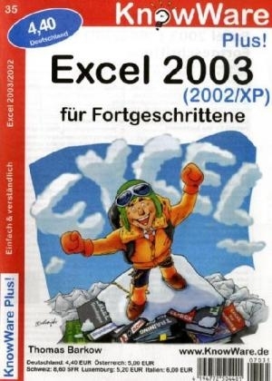 Excel 2003 (2002/XP) für Fortgeschrittene