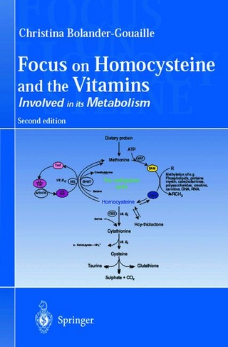 Focus on Homocysteine and the Vitamins