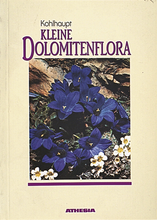 Kleine Dolomitenflora
