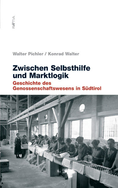 Zwischen Selbsthilfe und Marktlogik - Walter Pichler, Konrad Walter