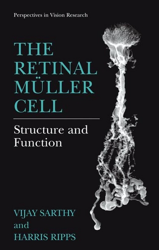 Retinal Muller Cell