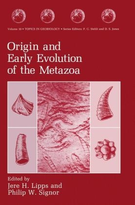 Origin and Early Evolution of the Metazoa