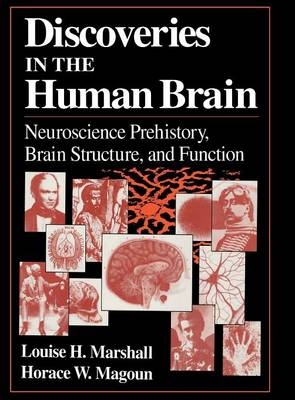 Discoveries in the Human Brain