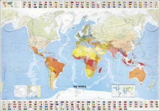 World Wall Map